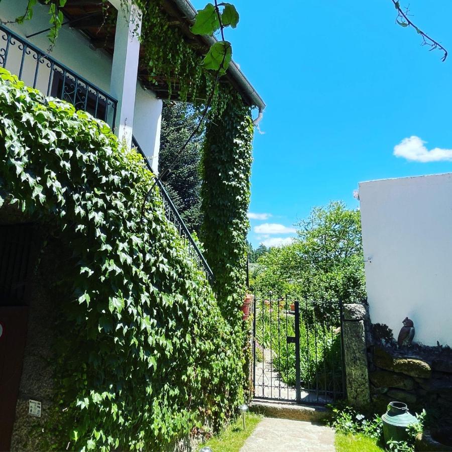 Casa Do Beco B&B Douro - Guest House Parambos Zewnętrze zdjęcie